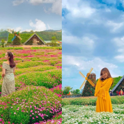 Chìm đắm trong sắc hoa tại Fresh Garden