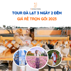 Tour Đà Lạt 3 Ngày 2 Đêm