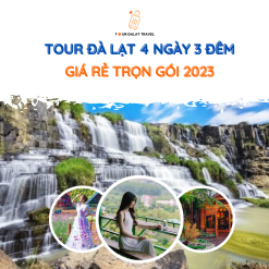 Tour Đà Lạt 4 Ngày 3 Đêm