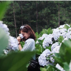 Thung Lũng Tình Yêu đẹp lãng mạn