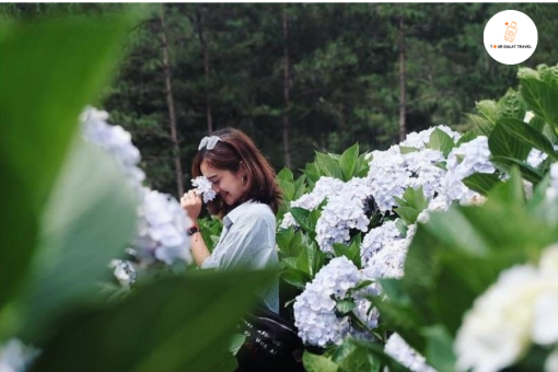 Thung Lũng Tình Yêu đẹp lãng mạn