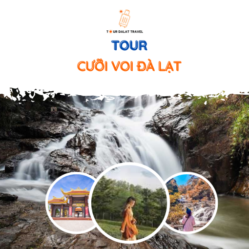 Tour cưỡi voi Đà Lạt