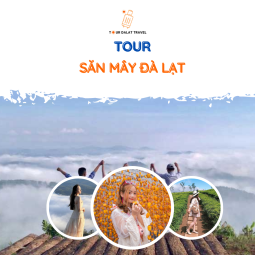 Tour săn mây Đà Lạt